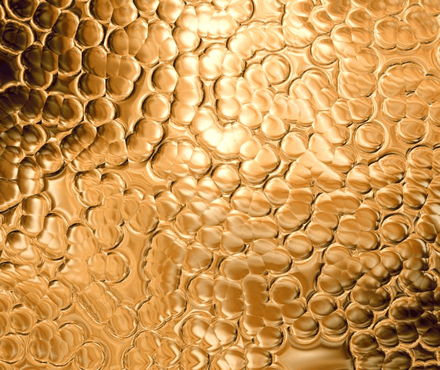 Phloretin + Discoloration