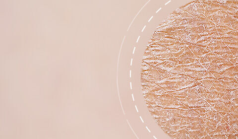 Anti-Aging Creams SkinCeuticals